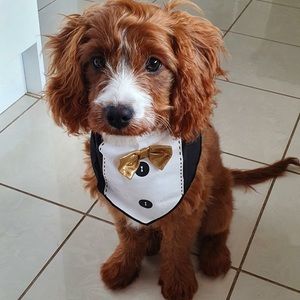 Meet your Posher, Chrissy